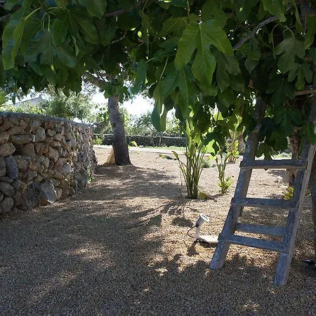 Cas Cabo Nou Adults Only * Sant Llorenc Des Cardassar